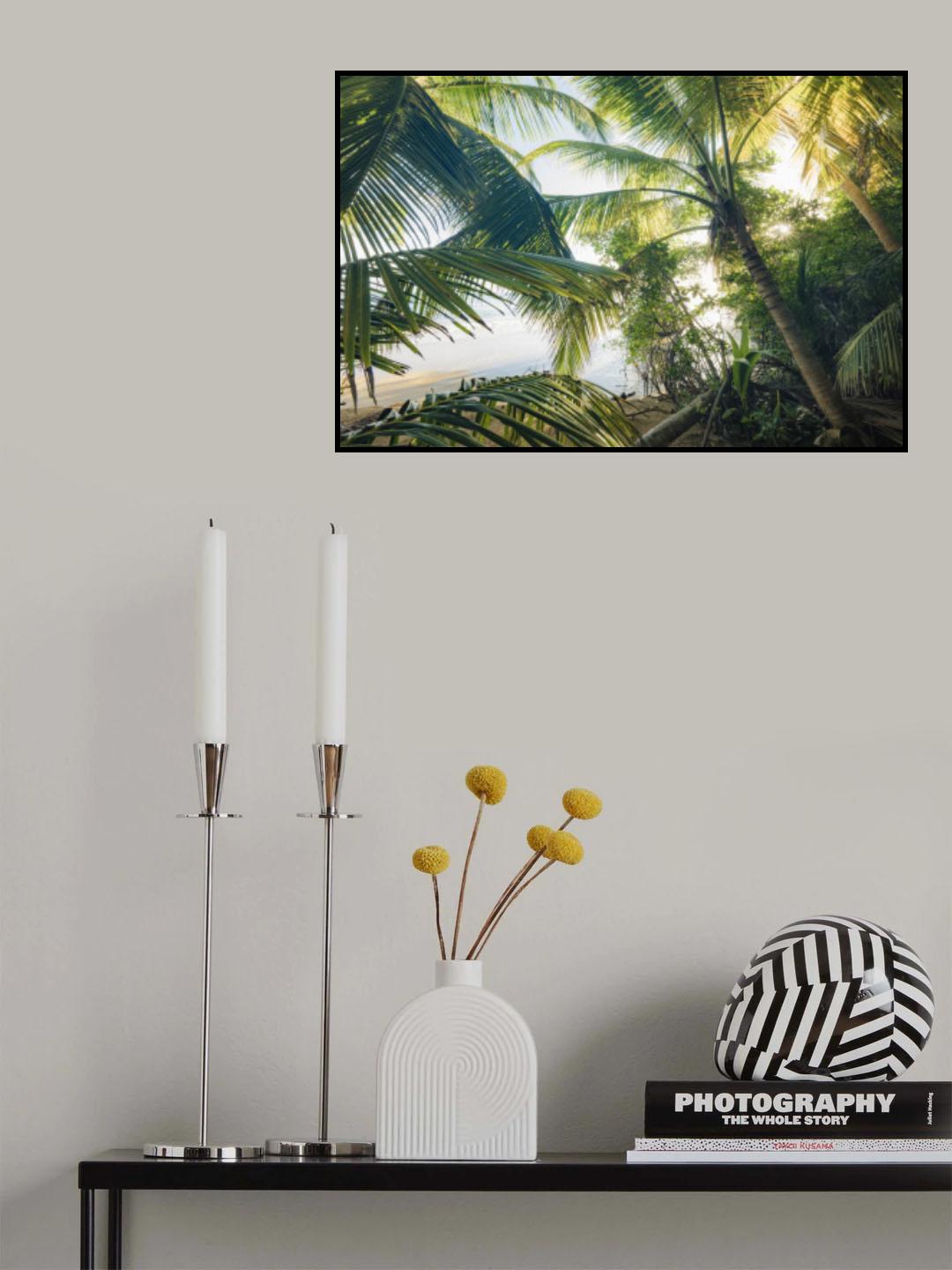 Hide under Palms Poster och Canvastavla