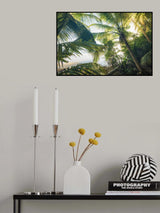 Hide under Palms Poster och Canvastavla