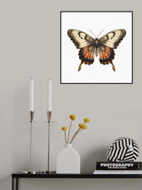 Butterfly 11 Poster och Canvastavla