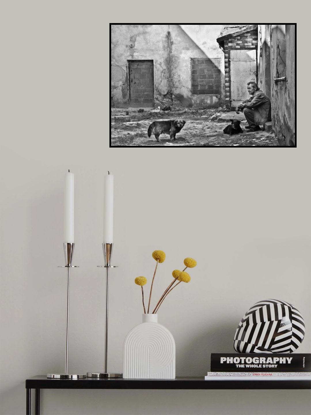 Poster och Canvastavla