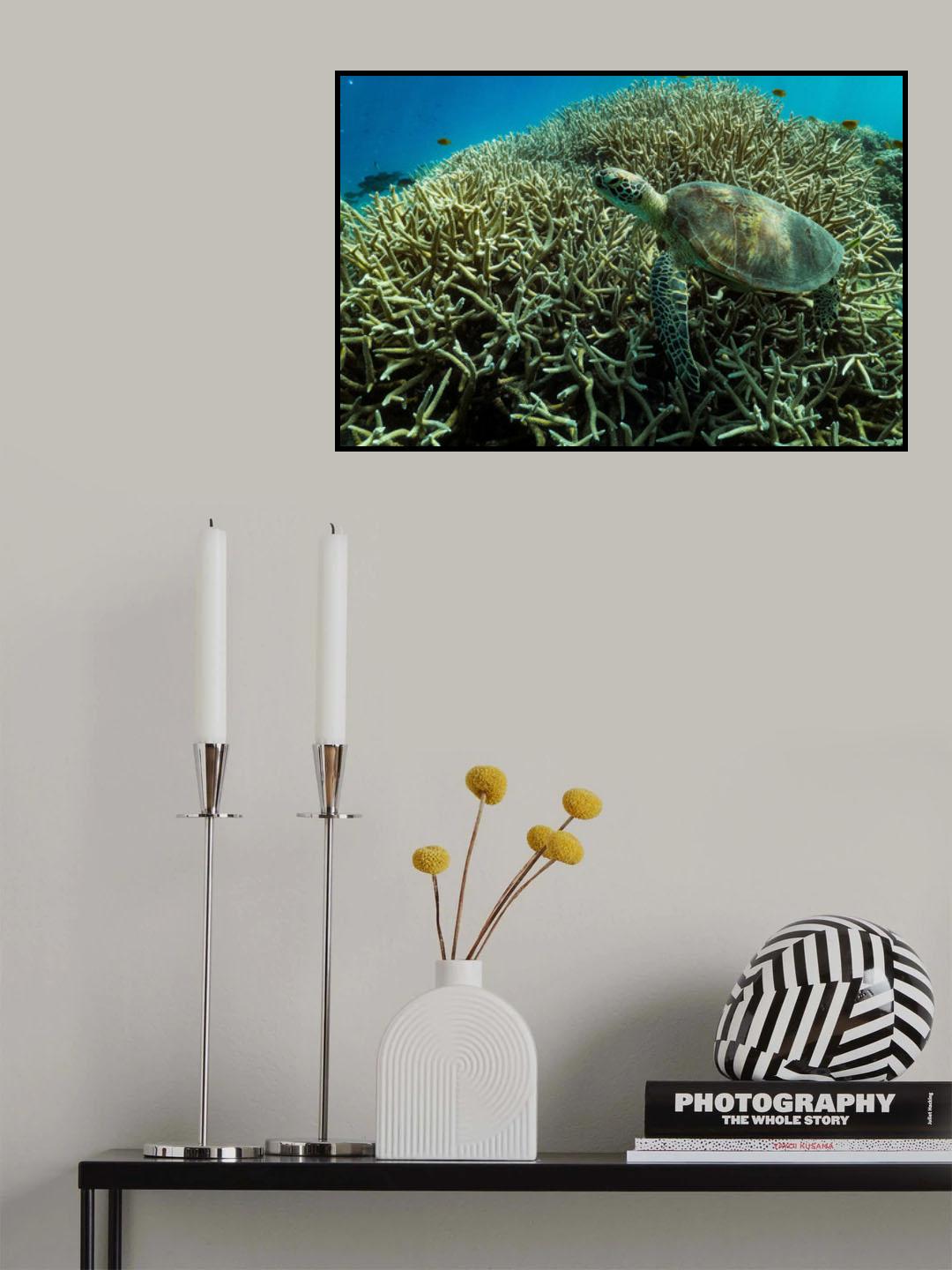 Living on the reef Poster och Canvastavla