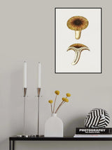 Vintage Chanterelles Edible Mushroom Poster och Canvastavla