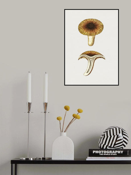 Vintage Chanterelles Edible Mushroom Poster och Canvastavla