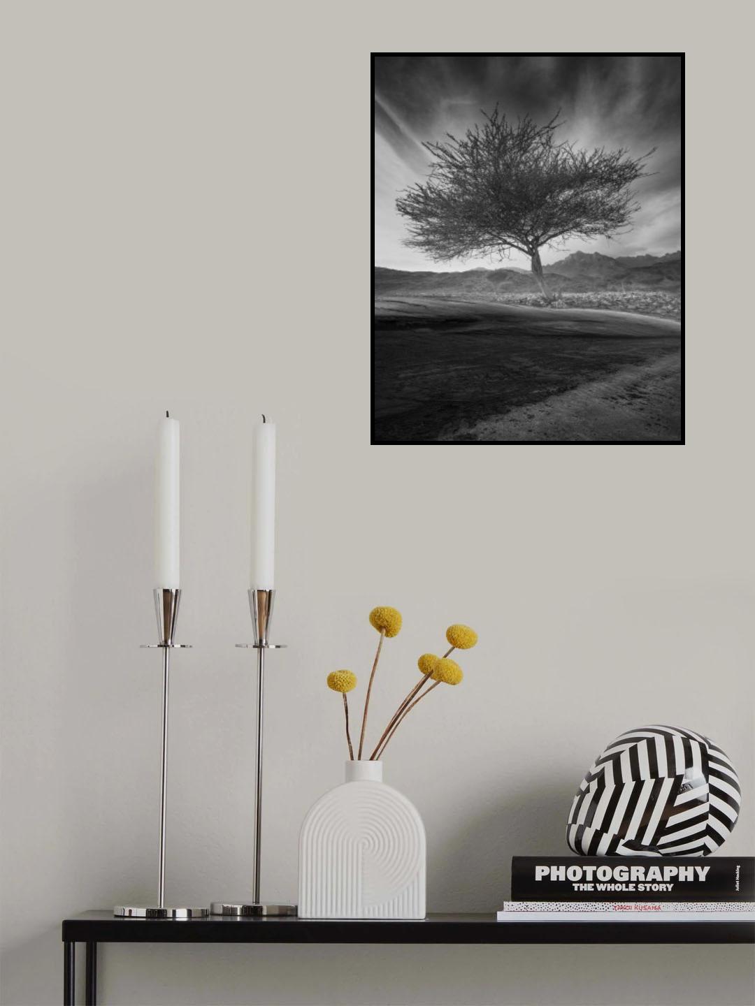 Revival Poster och Canvastavla