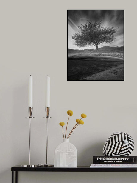 Revival Poster och Canvastavla
