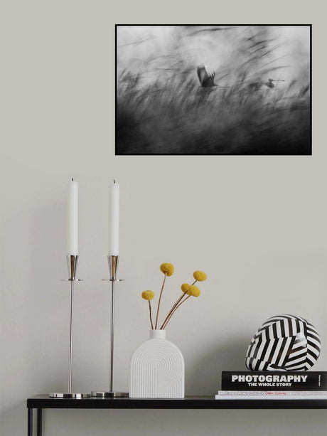 Out of the Blue Poster och Canvastavla