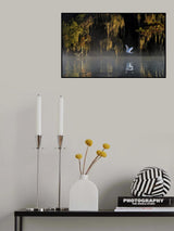 Egret Poster och Canvastavla
