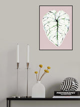 Alocasia Melo Light Poster och Canvastavla