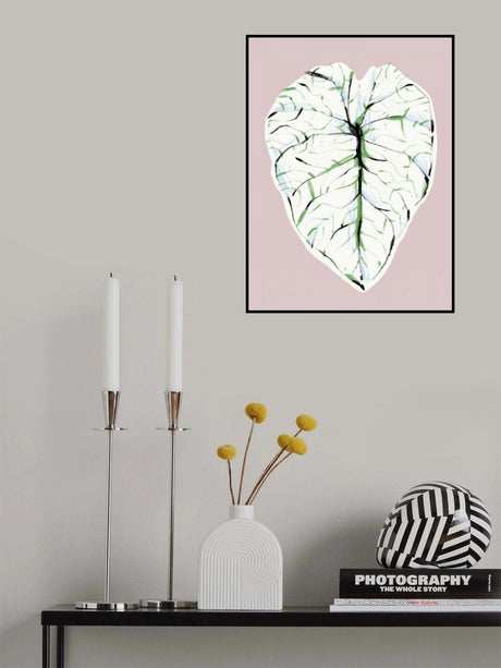Alocasia Melo Light Poster och Canvastavla