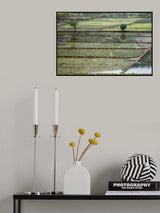 rice field on man Poster och Canvastavla