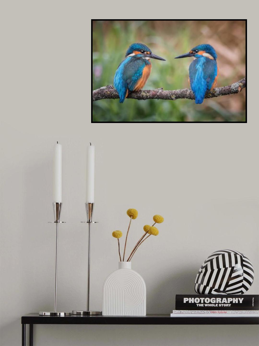 Sharing the perch Poster och Canvastavla