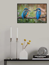 Sharing the perch Poster och Canvastavla