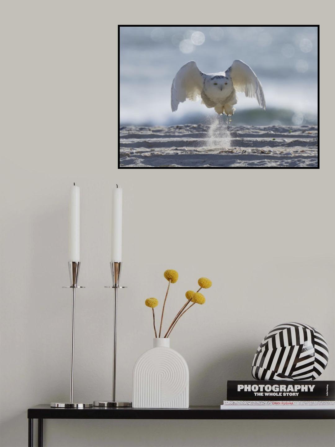 Wonderful morning Poster och Canvastavla