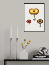 Hand Drawn Galerina Mushroom Poster och Canvastavla