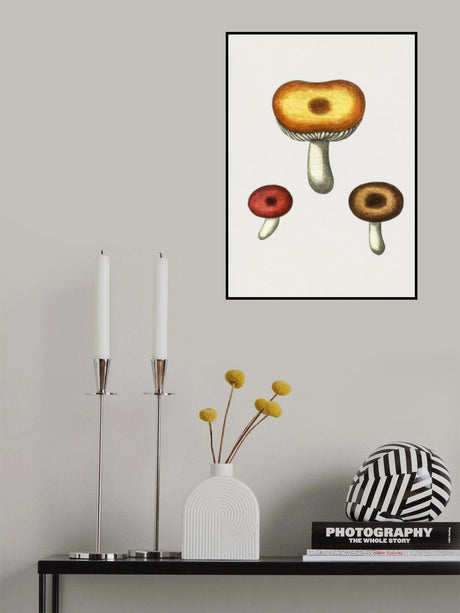 Hand Drawn Galerina Mushroom Poster och Canvastavla