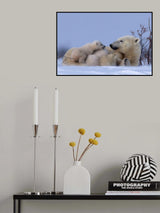 Love Poster och Canvastavla