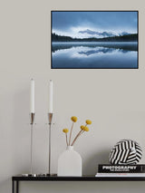 The Fairyland Poster och Canvastavla