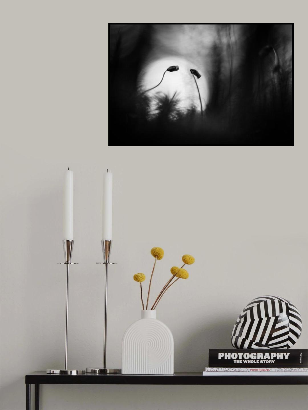 In the spotlight Poster och Canvastavla