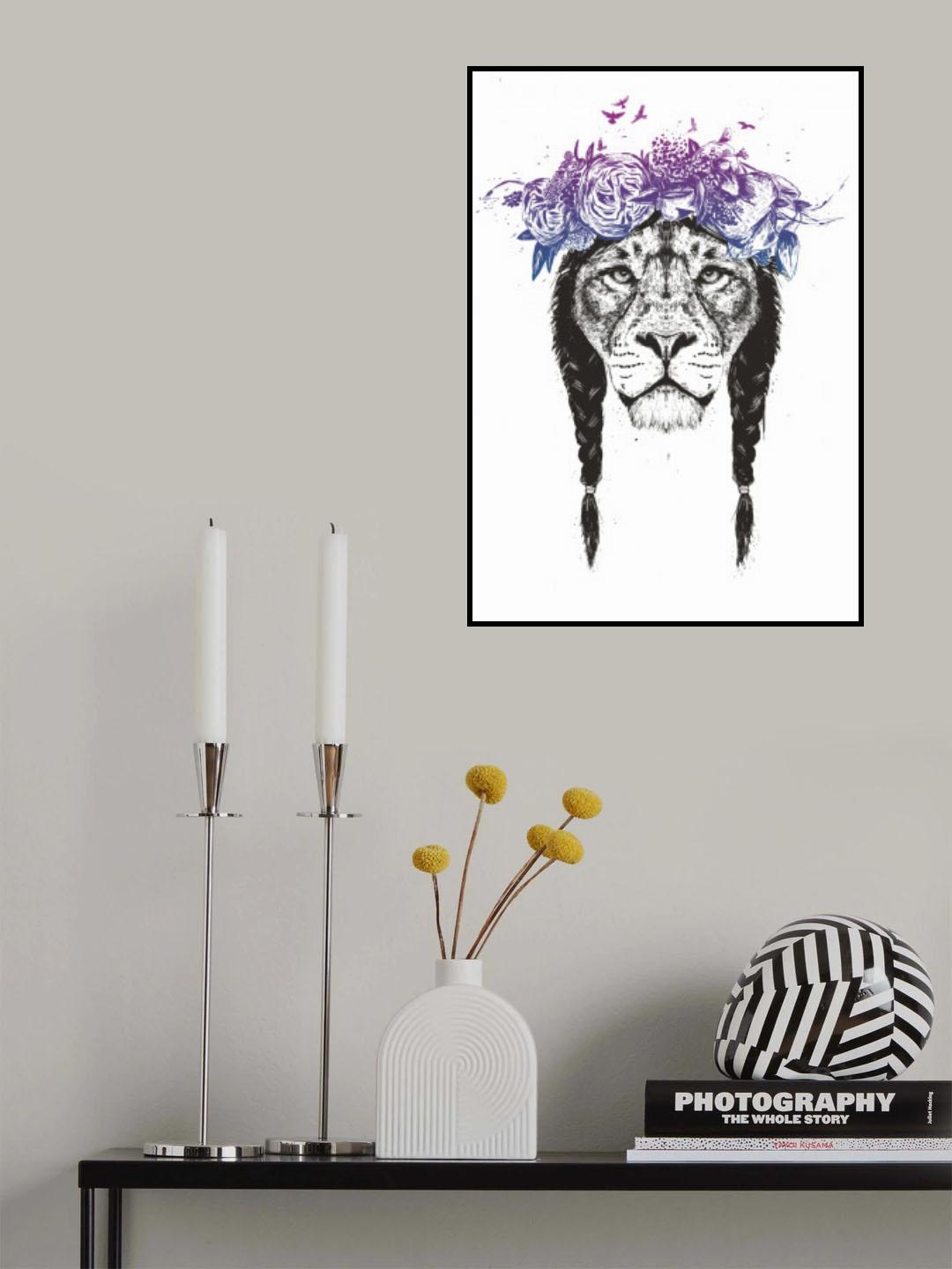 King of lions Poster och Canvastavla