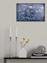 Water droplets in dandelion Poster och Canvastavla