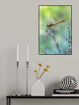 colors of nature Poster och Canvastavla
