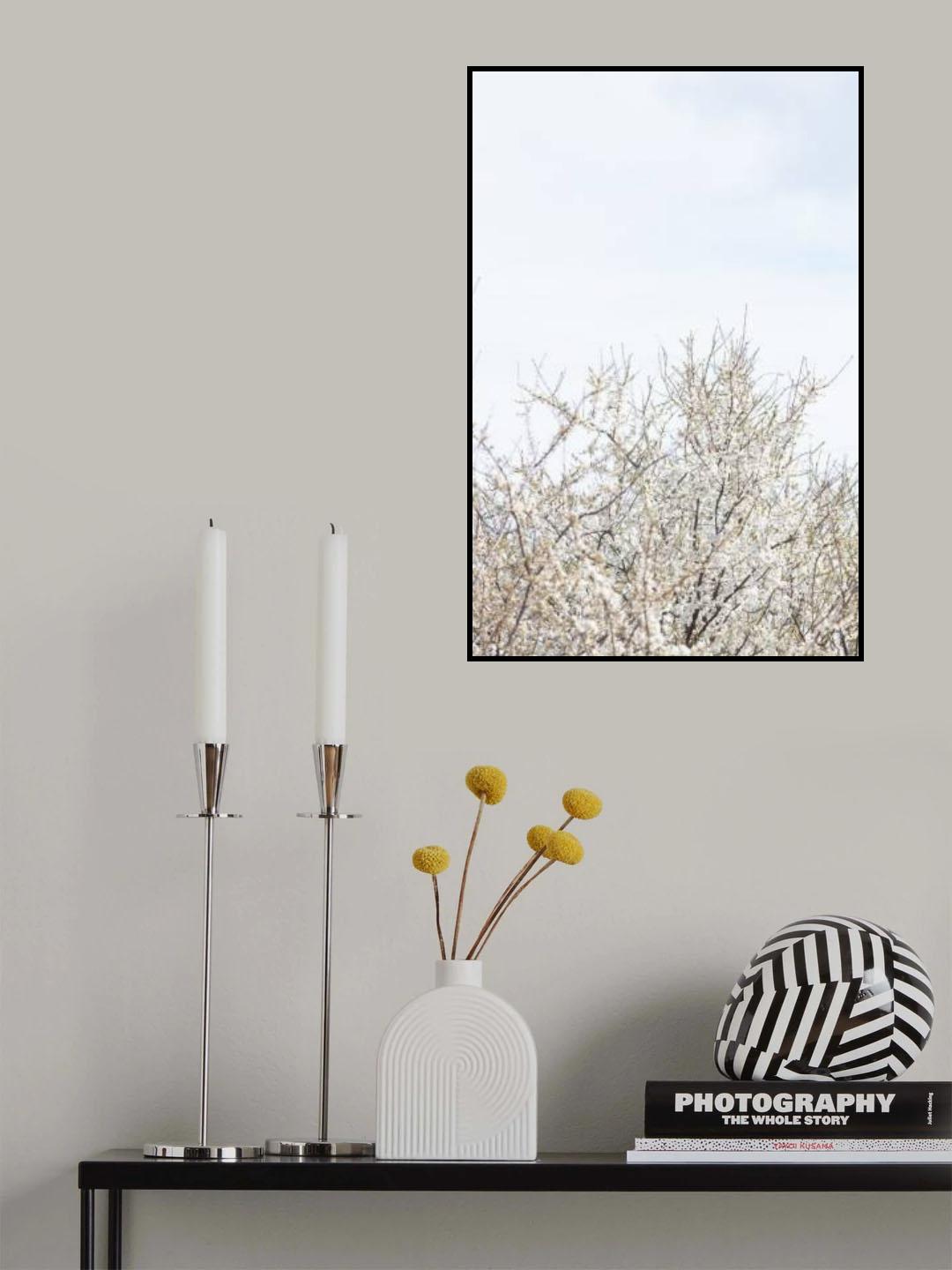 Cherry tree_1 Poster och Canvastavla