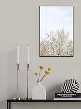 Cherry tree_1 Poster och Canvastavla