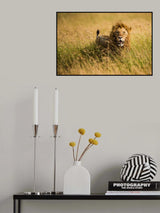 Lion King Poster och Canvastavla