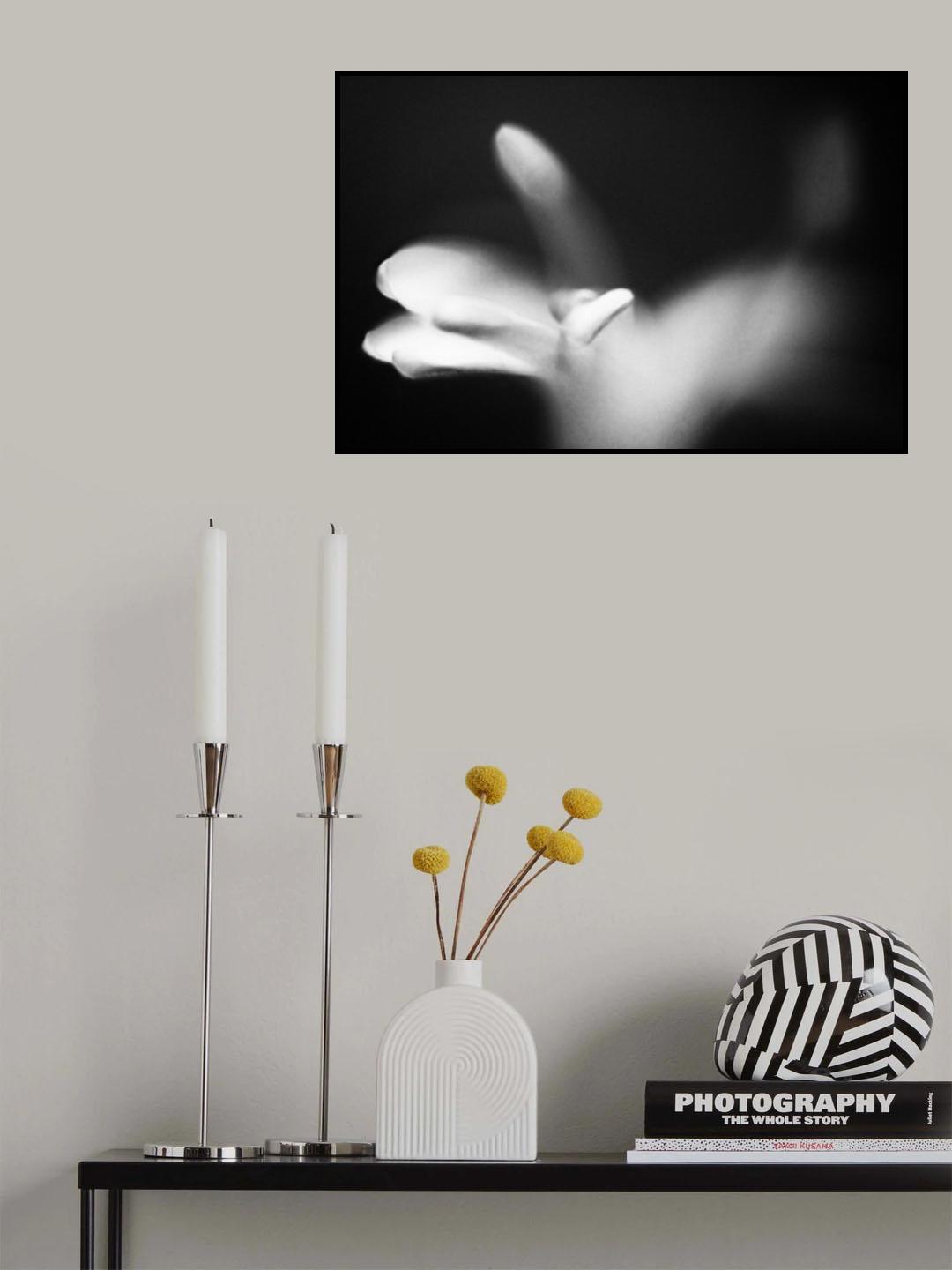 Poster och Canvastavla