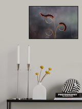 The Caterpillar Romance Poster och Canvastavla