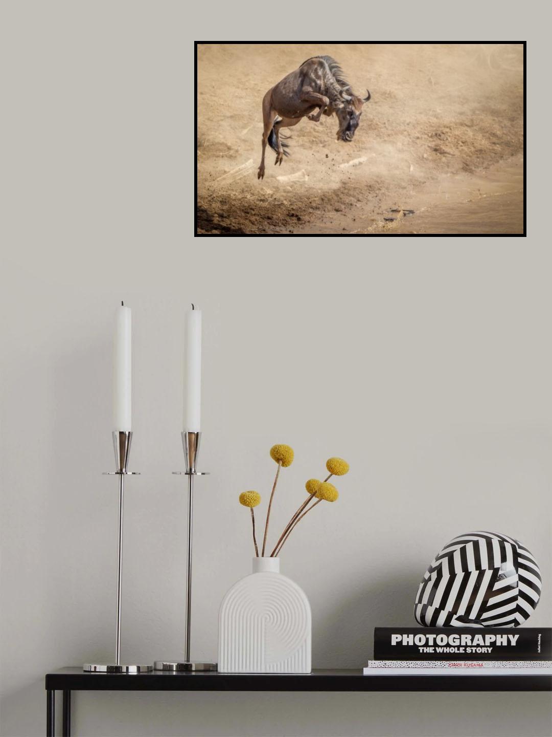Nature's real athletes Poster och Canvastavla