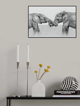 Confrontation Poster och Canvastavla