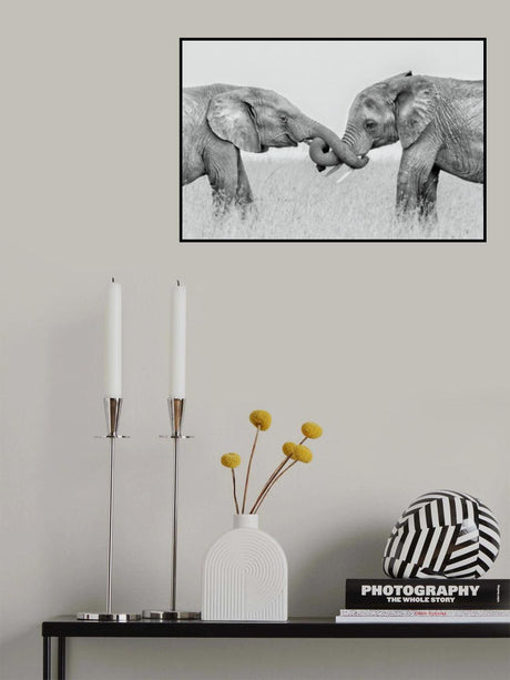 Confrontation Poster och Canvastavla