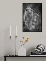 Blondie Poster och Canvastavla