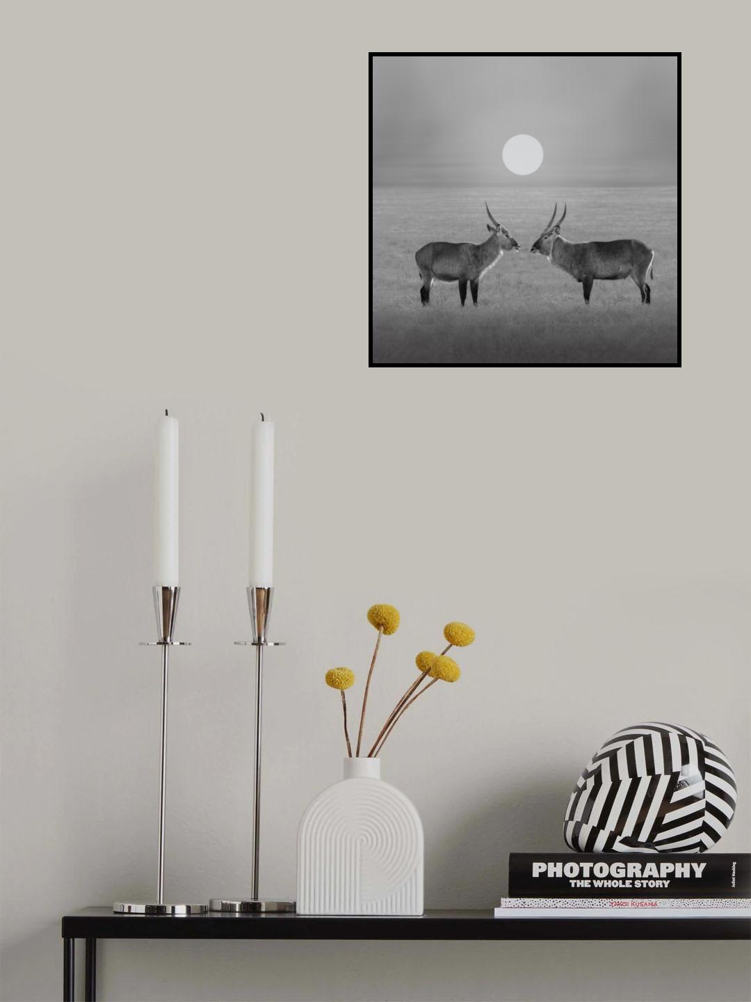 Eye to Eye Poster och Canvastavla