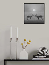 Eye to Eye Poster och Canvastavla