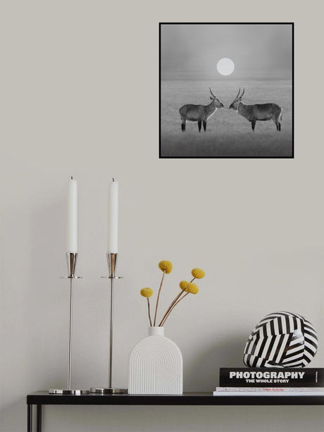 Eye to Eye Poster och Canvastavla