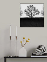 Wall Poster och Canvastavla
