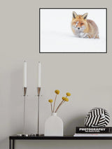 Blanket of snow Poster och Canvastavla