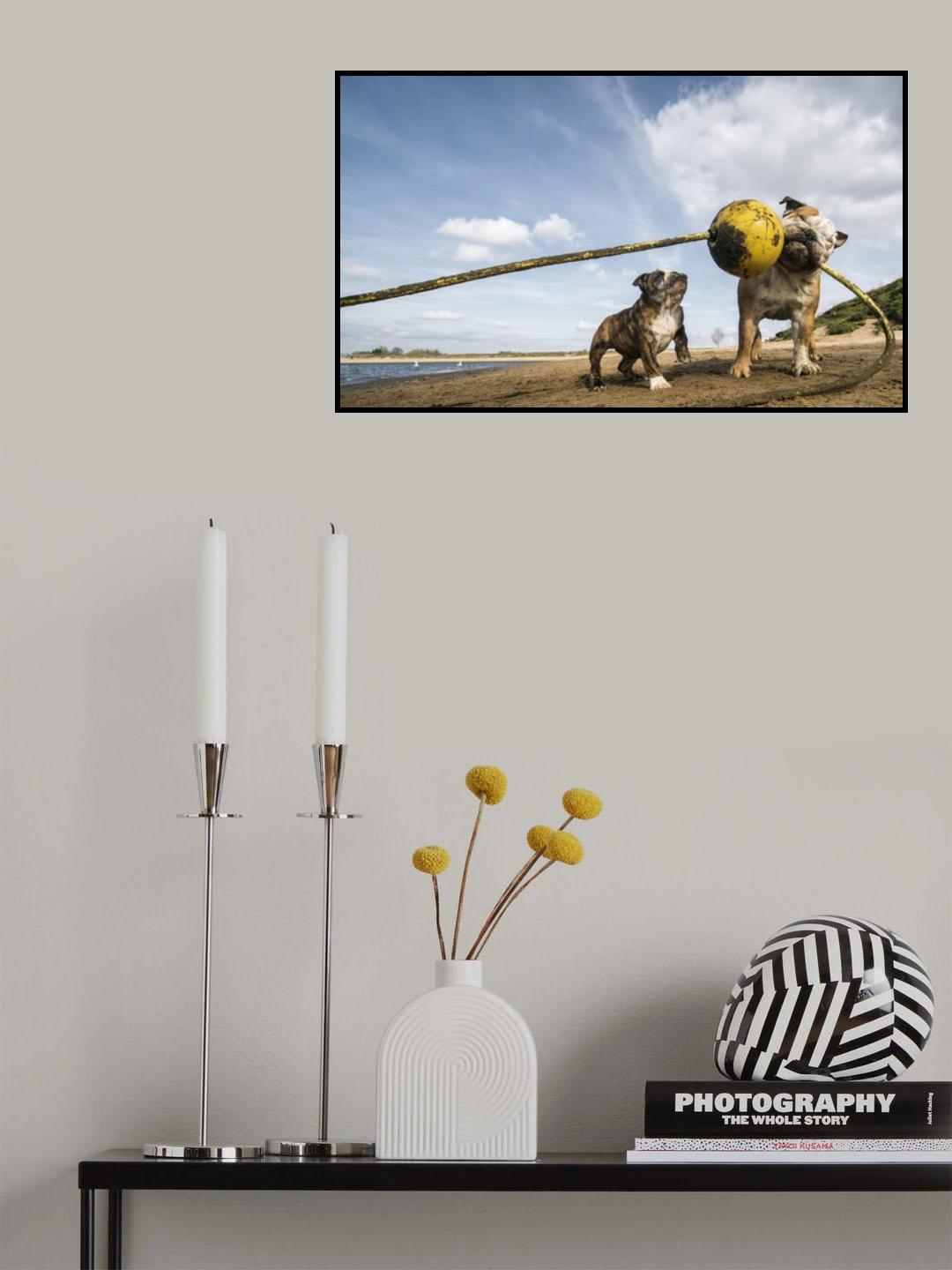 Pull, pull, pull, PULL!! Poster och Canvastavla