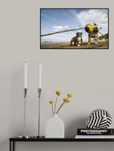 Pull, pull, pull, PULL!! Poster och Canvastavla