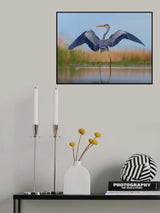 Looking back Poster och Canvastavla