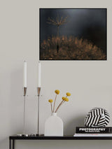 Standing toward the light... Poster och Canvastavla