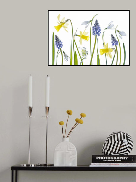 Spring Poster och Canvastavla