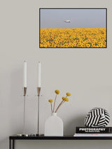 sunflowers Poster och Canvastavla