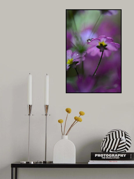 In pink surroundings Poster och Canvastavla