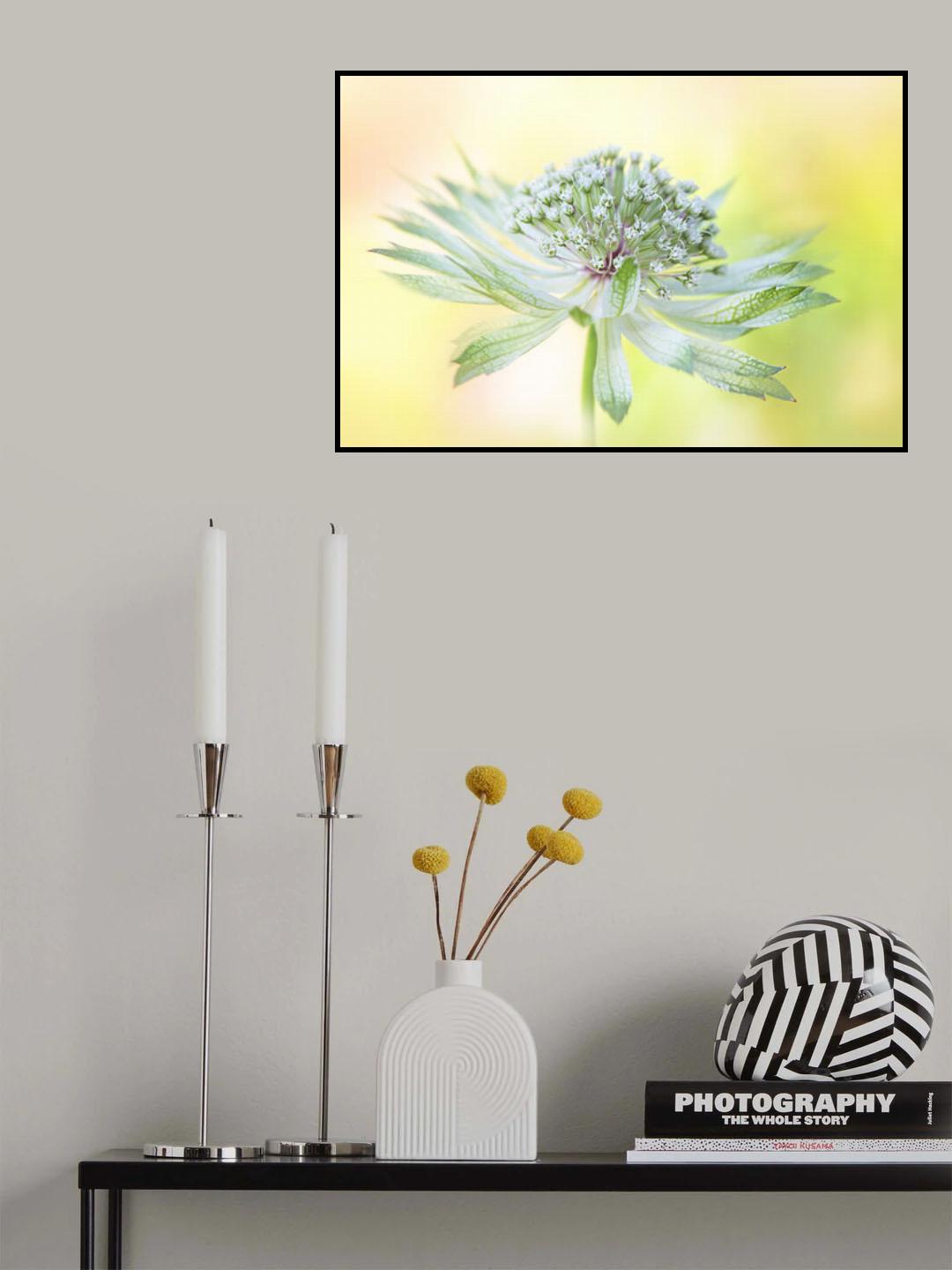Hattie's pincushion Poster och Canvastavla