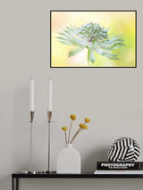 Hattie's pincushion Poster och Canvastavla