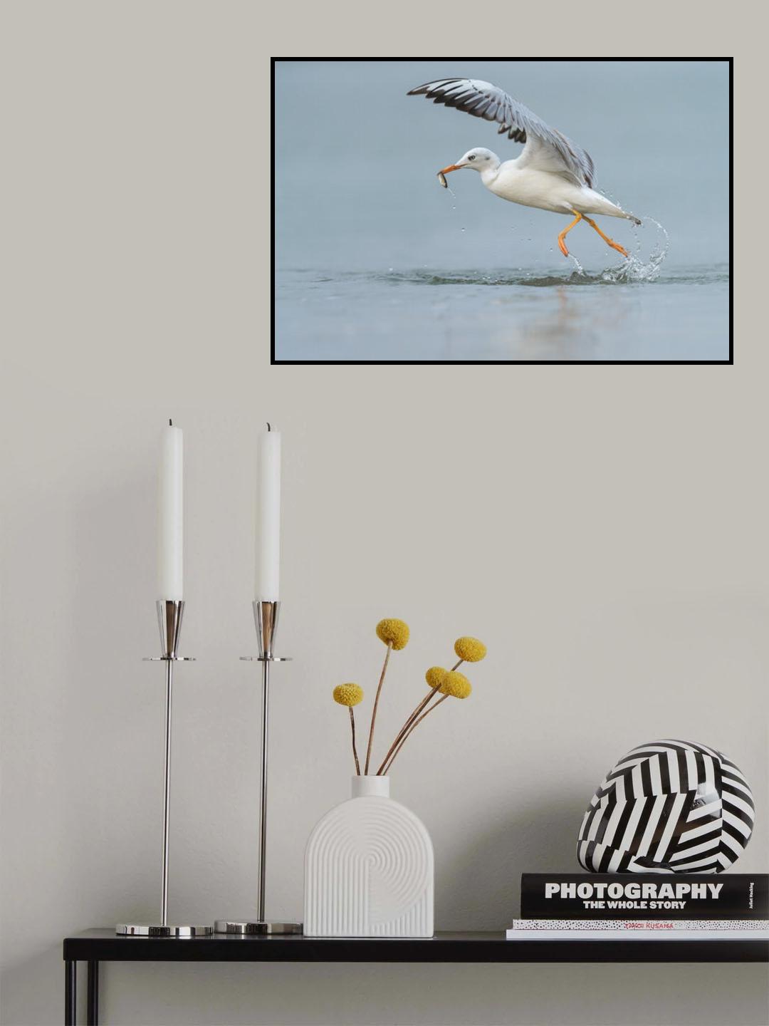 Poster och Canvastavla