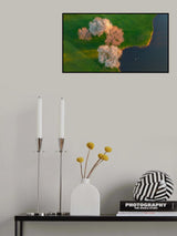Spring Morning Poster och Canvastavla